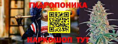 Альфа ПВП Будённовск
