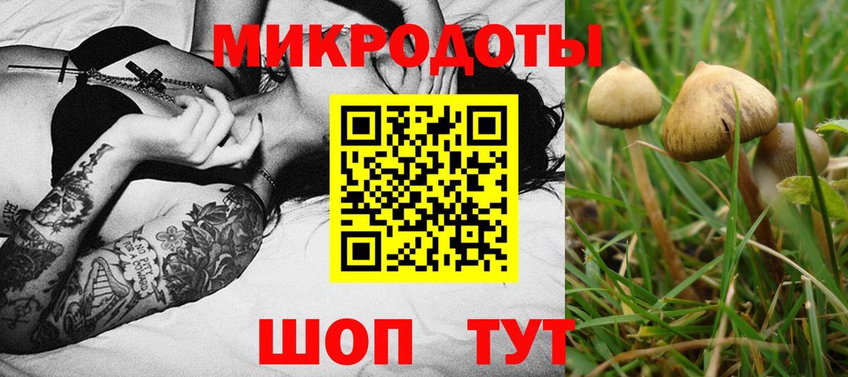 Галлюциногенные грибы Cubensis  Галлюциногенные грибы ЛСД  Вход с VPN  Сафоново 