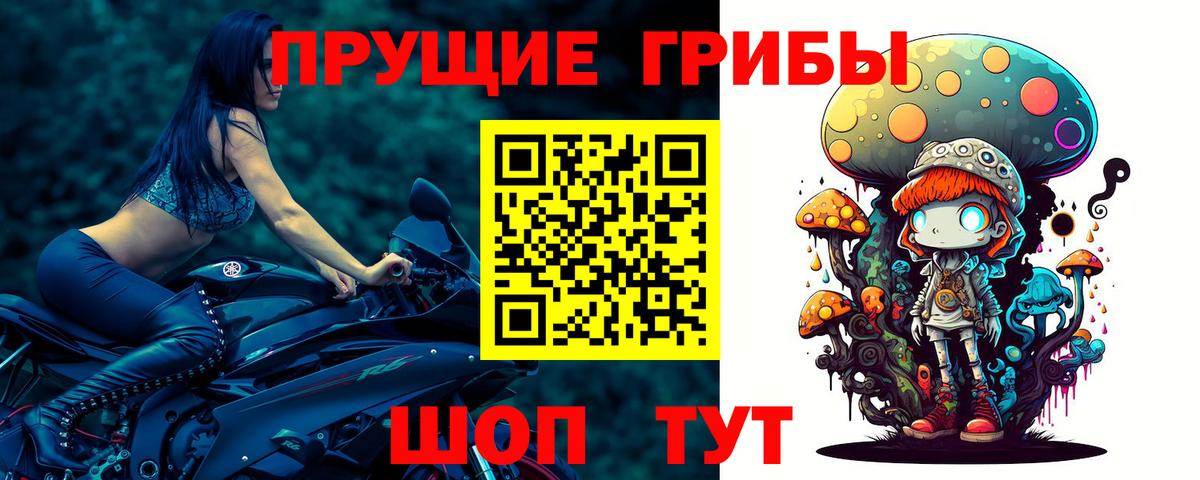Галлюциногенные грибы Cubensis Сафоново